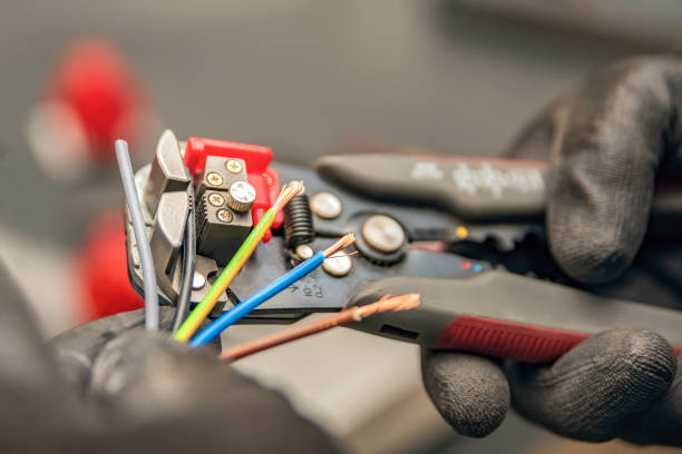 Best Local Electrician Companies  in Roosevelt Park, MI